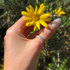 MIMI RING