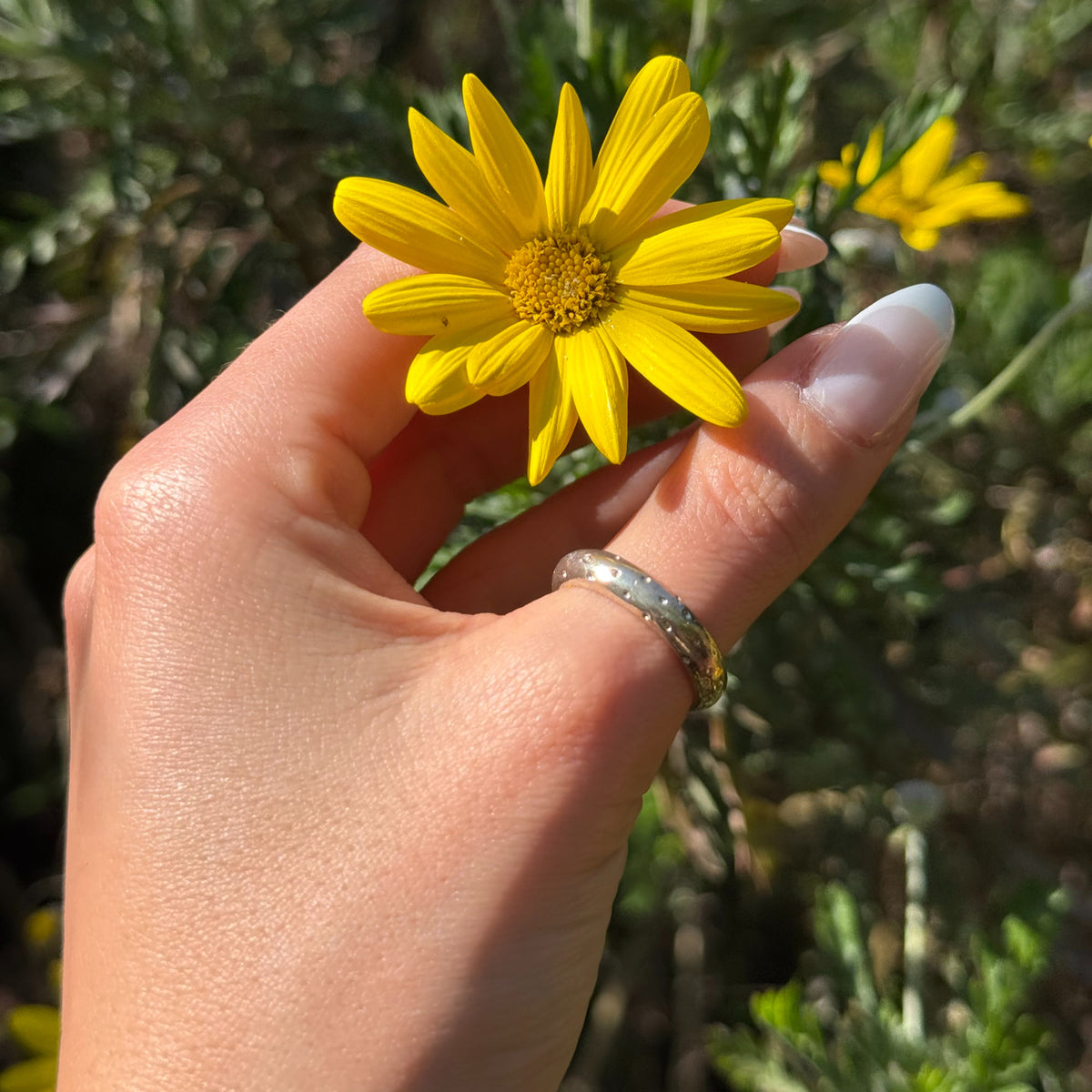 MIMI RING
